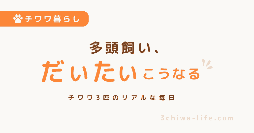 犬の多頭飼いあるある10選｜3匹と暮らす日常はだいたいこんな感じ_アイキャッチ画像