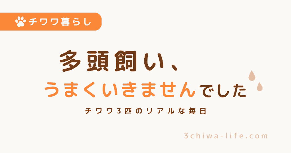 犬の多頭飼いはうまくいく？3匹飼ってわかったリアルな失敗と変化_アイキャッチ画像