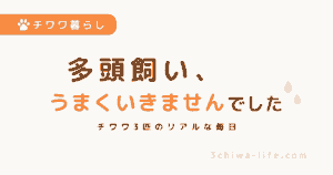 犬の多頭飼いはうまくいく？3匹飼ってわかったリアルな失敗と変化_アイキャッチ画像