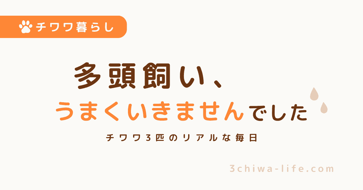 犬の多頭飼いはうまくいく？3匹飼ってわかったリアルな失敗と変化_アイキャッチ画像