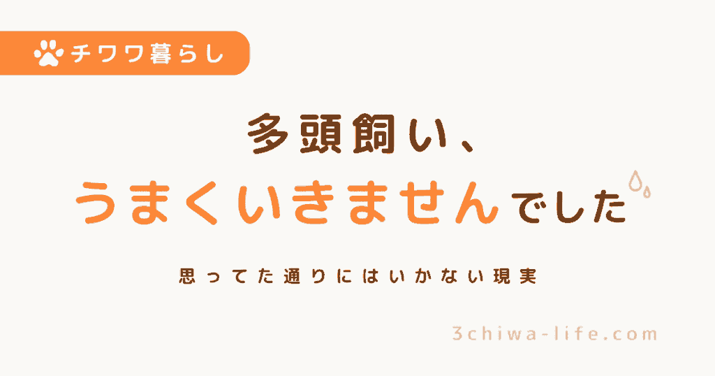 犬の多頭飼いはうまくいく？3匹飼ってわかったリアルな失敗と変化_アイキャッチ画像