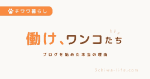 働け！ワンコたち！私がブログを始めた本当の理由_アイキャッチ画像