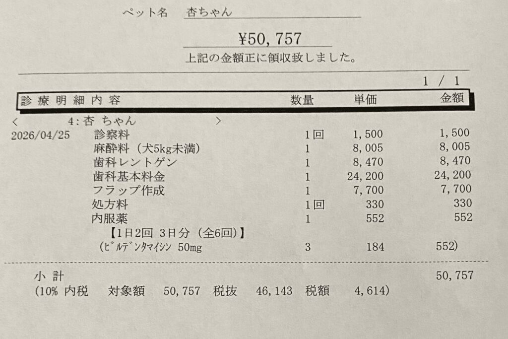 抜歯手術の費用明細