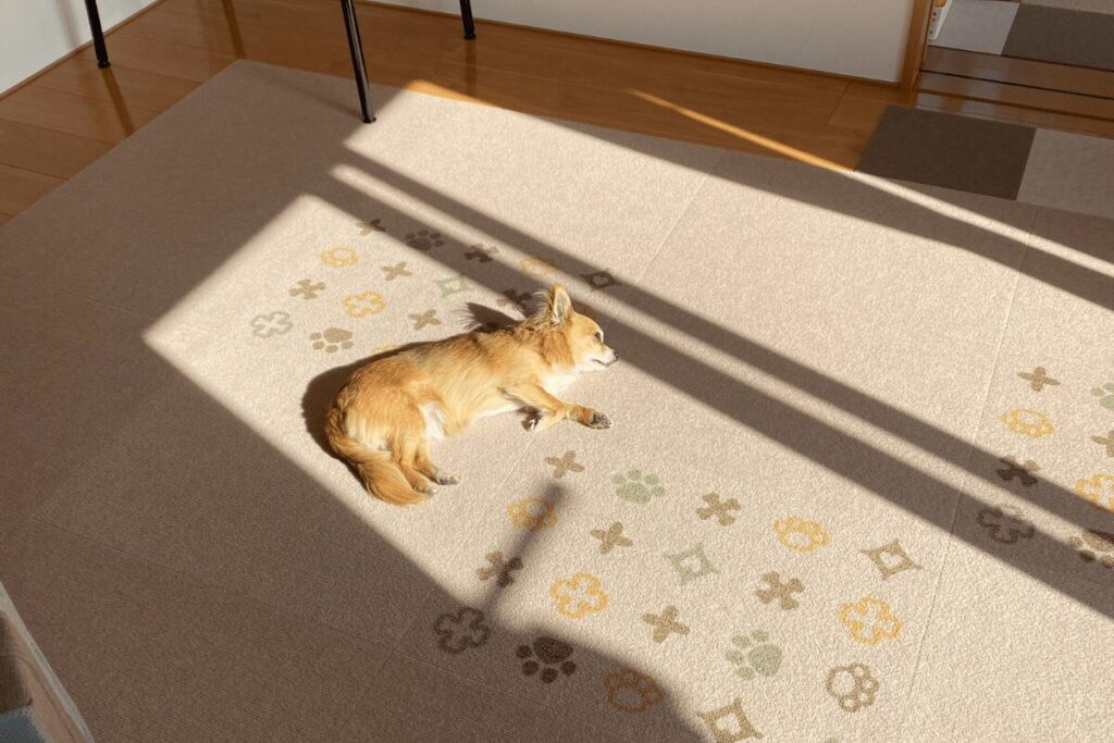 ストレスのない胡桃