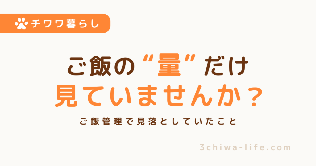 犬のご飯、量だけ見てない？3チワで気づいた「カロリー不足」の話_アイキャッチ画像