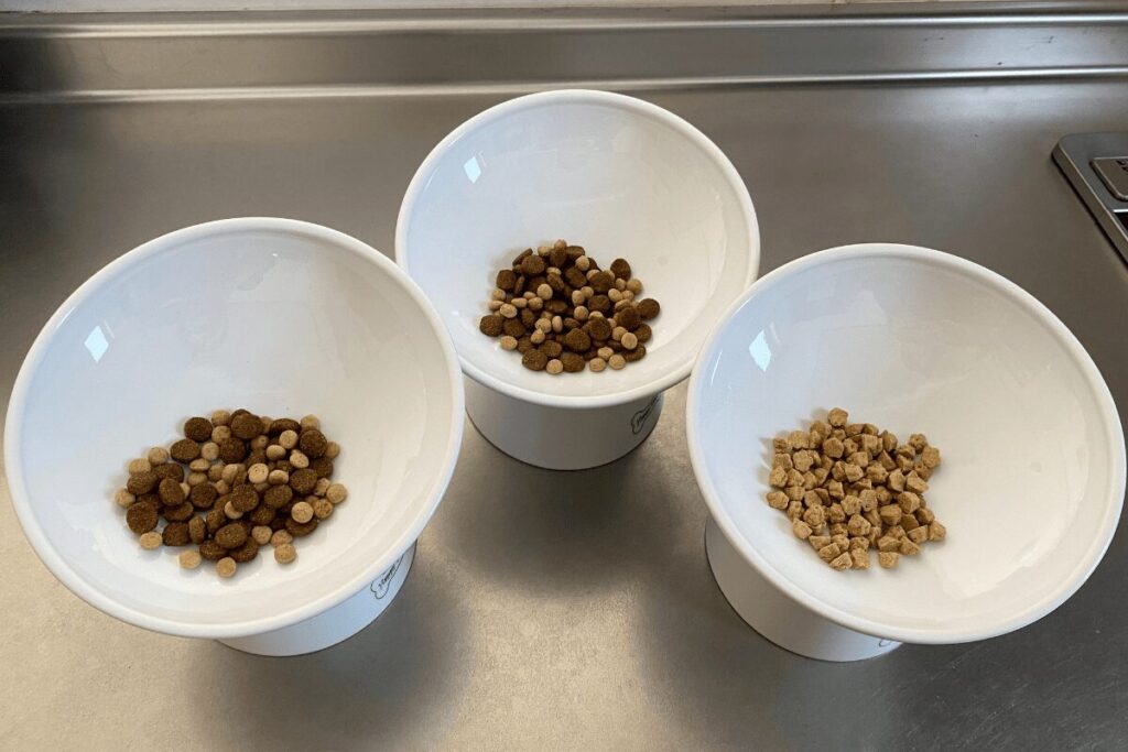 3匹のチワワ用に用意したフードボウル。量は食べていても、カロリー不足に気づいていなかった頃のご飯量