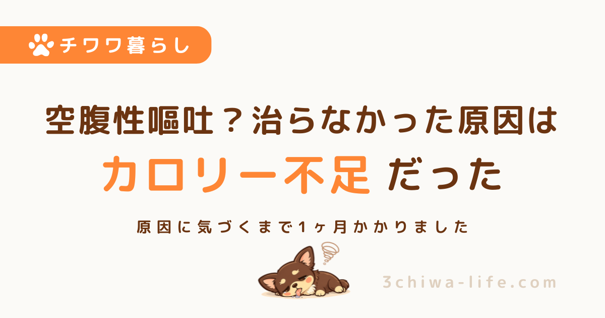 「空腹性嘔吐だと思ってた」犬の明け方の嘔吐｜原因はカロリー不足でした_アイキャッチ画像