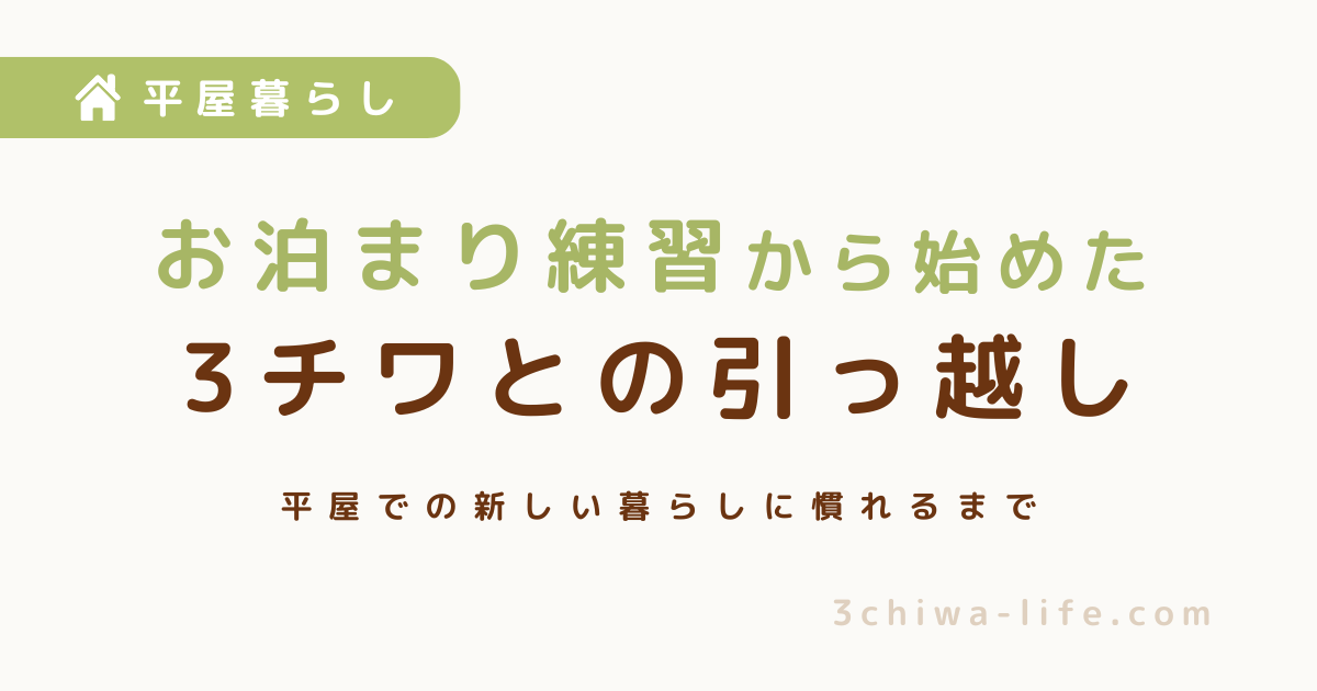 犬を連れて平屋へ引っ越し。お泊まり練習から始めた3チワとの新生活_アイキャッチ画像