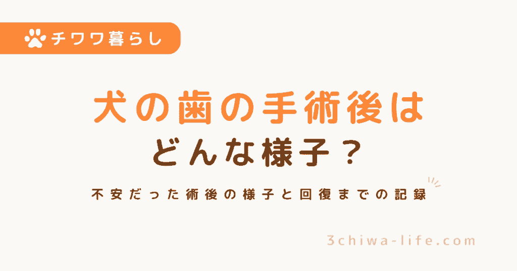 犬の歯の手術後はどうなる？実際の様子と回復の流れ【杏の体験談】_アイキャッチ画像