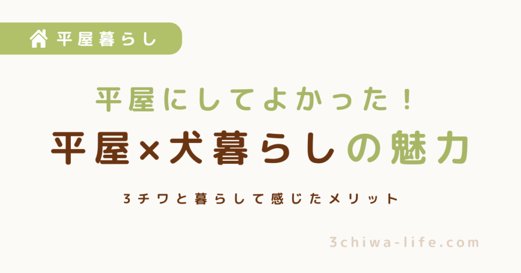 平屋にしてよかった！犬と暮らして実感したメリット【3チワとの暮らし】_アイキャッチ画像