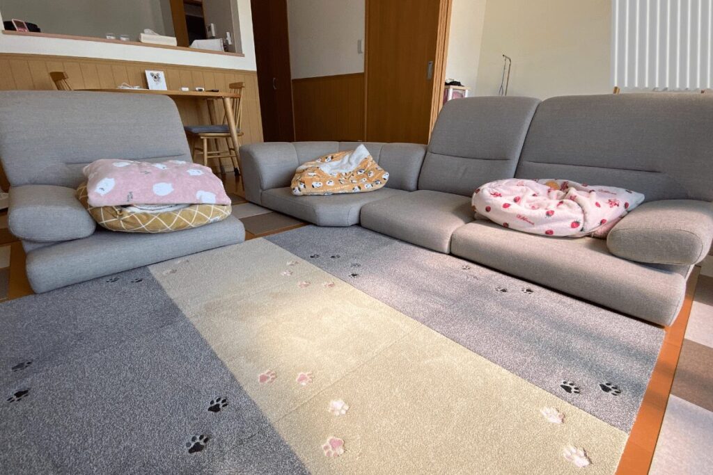 3チワが安全に過ごせるよう、低めの家具でそろえた平屋のリビング