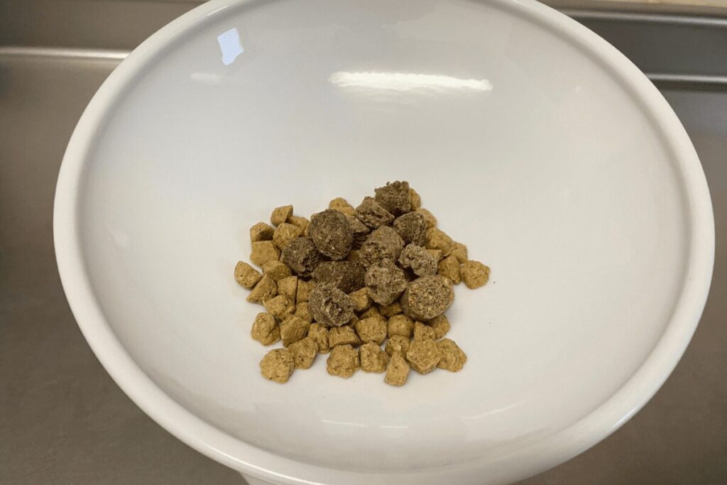 K9オーブンベイクドとロータスのフード粒を同じ食器に入れて比較した様子
