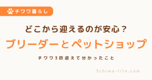 ブリーダーとペットショップ、迎えるならどちらが安心？犬3匹迎えた我が家の体験談_アイキャッチ画像