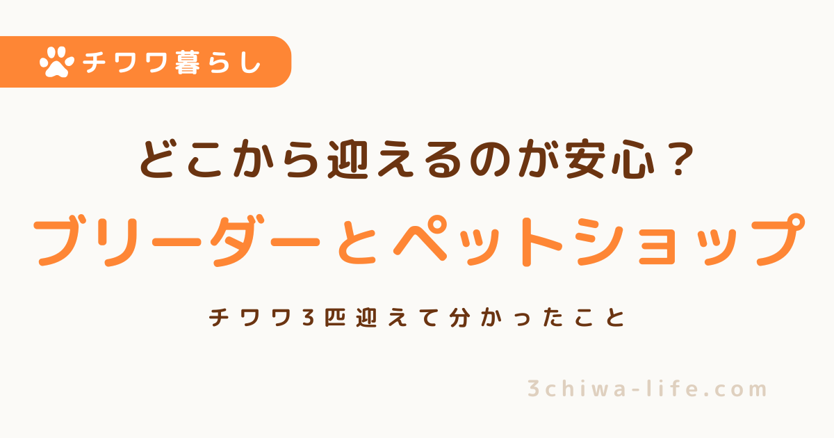 ブリーダーとペットショップ、迎えるならどちらが安心？犬3匹迎えた我が家の体験談_アイキャッチ画像