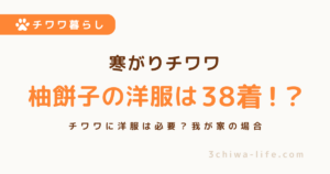 チワワに洋服は必要？気付けば柚餅子の洋服は38着になっていました_アイキャッチ画像