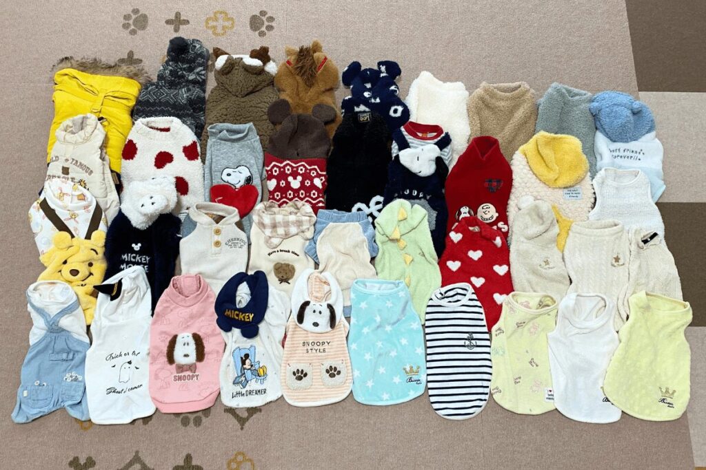 柚餅子のために集まった犬用の洋服とパジャマ