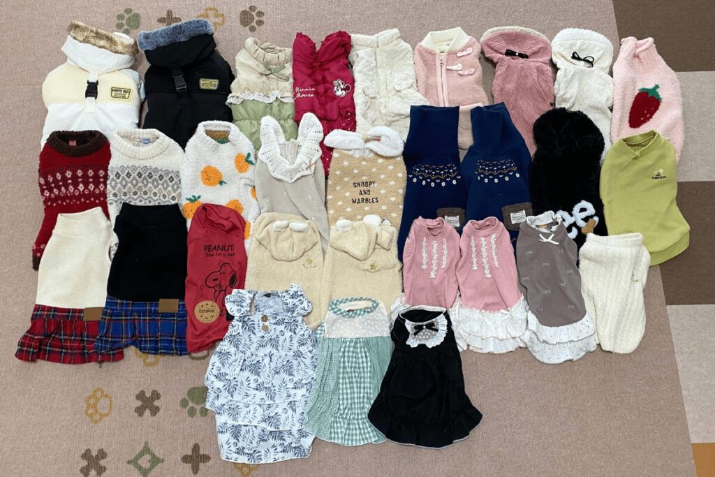 胡桃と杏が着ている犬用の洋服を並べた写真