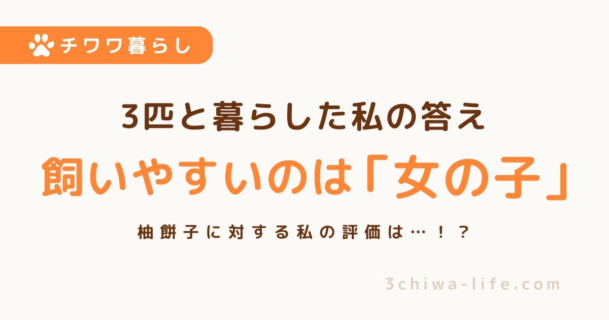 チワワの男の子と女の子、どちらが飼いやすい？3匹と暮らした私の答え_アイキャッチ画像