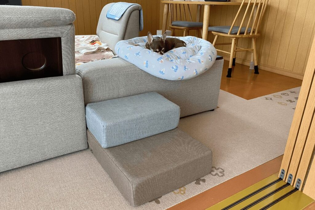 ソファ横のベッドでひとり眠るチワワの柚餅子