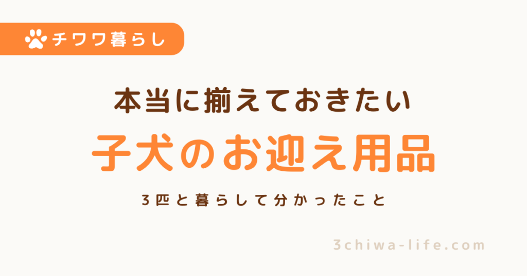 チワワを迎える前に何を準備する？3匹迎えて分かった、本当に揃えておきたいもの_アイキャッチ画像