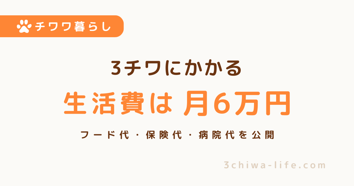 チワワ3匹の生活費は月6万円｜多頭飼いで実際にかかるお金_アイキャッチ画像
