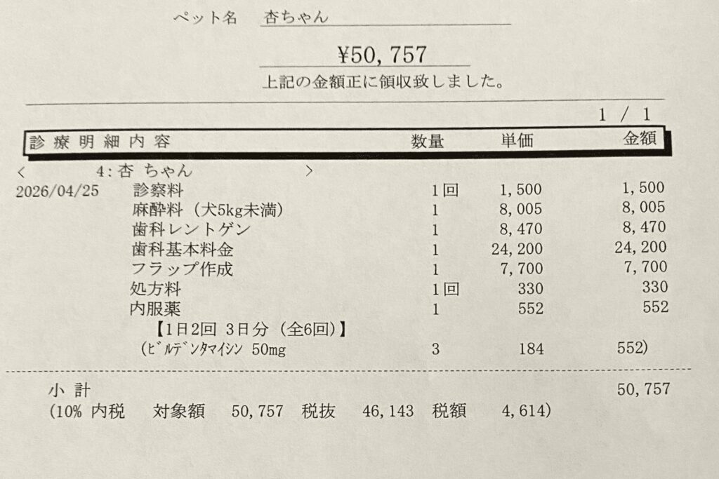杏の抜歯手術費用の領収書。麻酔料や歯科レントゲン、歯科基本料金などが記載され、合計50,757円となっている