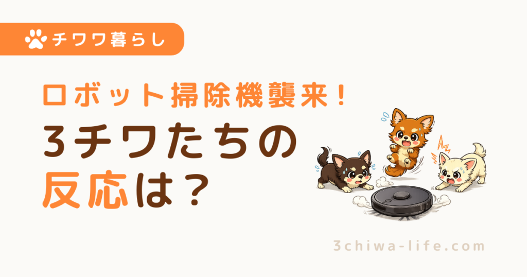 犬はロボット掃除機に吠える？慣れる？3チワと暮らす我が家の場合_アイキャッチ画像