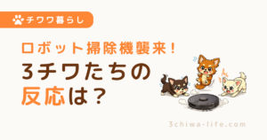 犬はロボット掃除機に吠える？慣れる？3チワと暮らす我が家の場合_アイキャッチ画像
