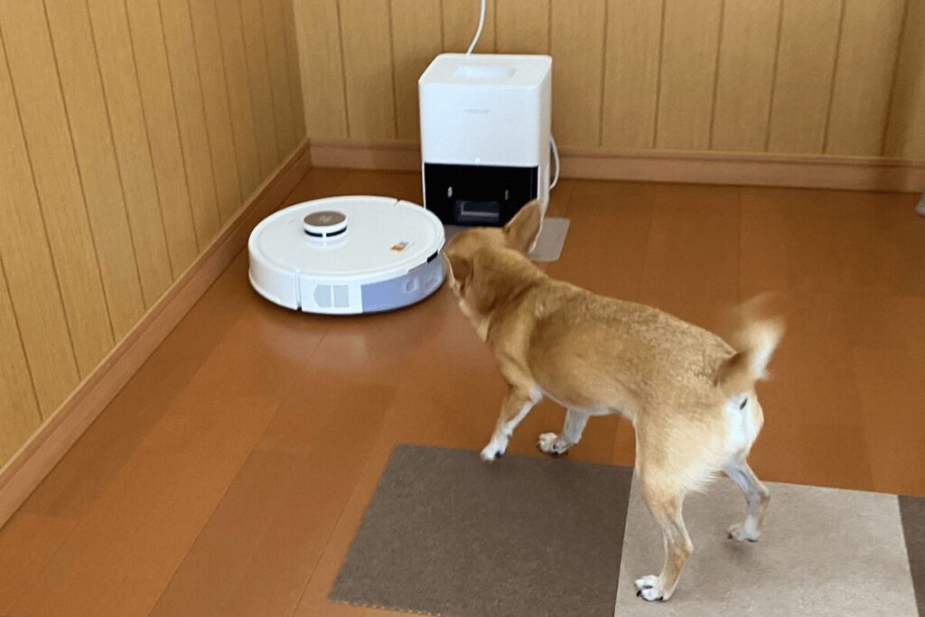 ロボット掃除機に吠えまくる杏
