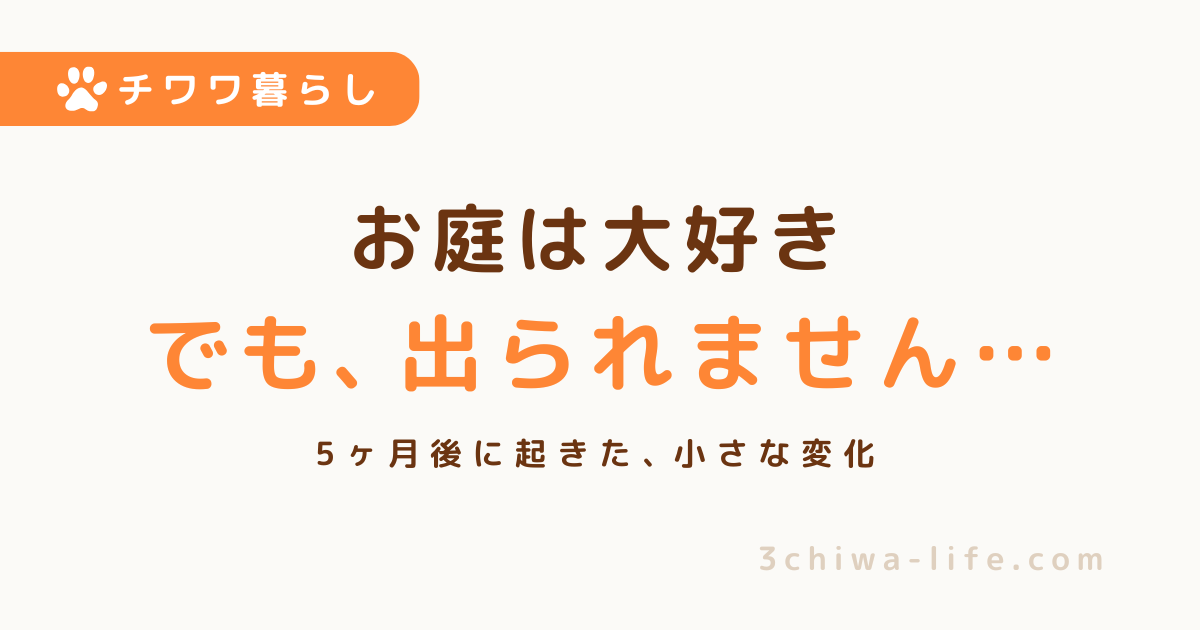 庭では遊ぶのにウッドデッキは渡れない｜慎重な犬と暮らして気づいたこと_アイキャッチ画像